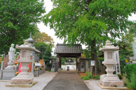 紹介1